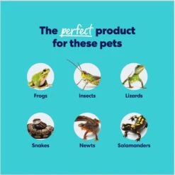 Frisco Terrarium Sphagnum Moss Reptile Bedding 11 Frisco Terrarium Sphagnum Moss Reptile Bedding -Pet Supplies Store 569134 PT5. AC SS1800 V1666122313