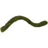 Frisco Reptile Natural Moss Bridge -Pet Supplies Store 570902 MAIN. AC SS1800 V1667227604
