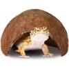 SunGrow Leopard Gecko & Ball Python Natural Hiding & Reptile Climbing Cave Basking & Tank Accessories, 3x5-in -Pet Supplies Store 572542 MAIN. AC SS1800 V1657660270