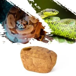 REPTI ZOO 3-in-1 Magnetic Attraction Snake, Ball Python & Geckos Reptile Cave, Large -Pet Supplies Store 575438 PT4. AC SS1800 V1658002294