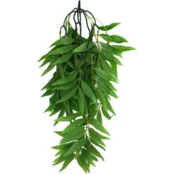 Komodo Climbing Bamboo Aquarium Plant -Pet Supplies Store 581854 PT1. AC SS1800 V1658427395