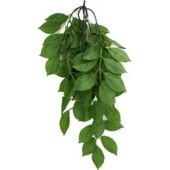 Komodo Climbing Green Leaf Aquarium Plant -Pet Supplies Store 581918 PT1. AC SS1800 V1658683563