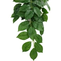 Komodo Climbing Green Leaf Aquarium Plant -Pet Supplies Store 581918 PT3. AC SS1800 V1658678489