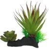 Komodo Succulent Auqrarium Plant, 5-in 2 Komodo Succulent Auqrarium Plant, 5-in -Pet Supplies Store 581998 MAIN. AC SS1800 V1658516332