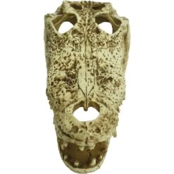 Komodo Alligator Skull Aquarium Ornament, 9-in -Pet Supplies Store 582038 PT2. AC SS1800 V1658521090