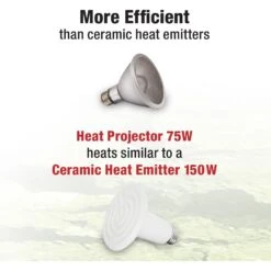 Zilla Heat Reptile Heat Projector 10 Zilla Heat Reptile Heat Projector -Pet Supplies Store 621918 PT2. AC SS1800 V1660341472