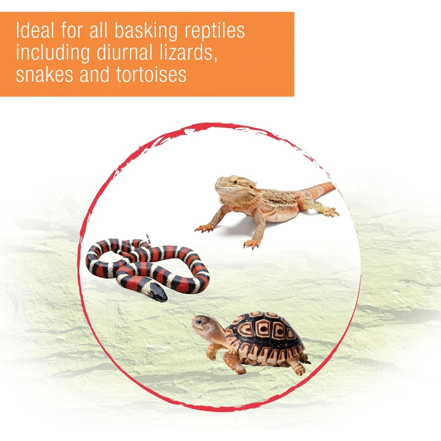 Zilla Heat Reptile Heat Projector 6 Zilla Heat Reptile Heat Projector - Image 4