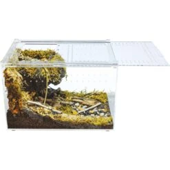 HerpCult Acrylic Enclosure Large Reptile Terranium, Clear, 3.3-gal -Pet Supplies Store 629294 PT2. AC SS1800 V1661287434