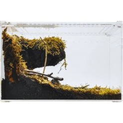 HerpCult Acrylic Enclosure Large Reptile Terranium, Clear, 3.3-gal -Pet Supplies Store 629294 PT3. AC SS1800 V1661287725