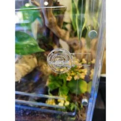 HerpCult Acrylic Front-Opening Reptile Enclosure, 3.3-gal 16 HerpCult Acrylic Front-Opening Reptile Enclosure, 3.3-gal -Pet Supplies Store 629310 PT6. AC SS1800 V1661287589