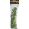 Zoo Med Bolivian Croton Reptile Plant, Large -Pet Supplies Store 636054 MAIN. AC SS1800 V1680023421