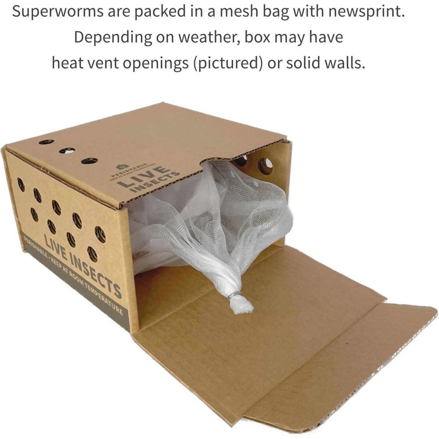 Ovipost Live Superworms Reptile Food, Large 4 Ovipost Live Superworms Reptile Food, Large - Image 2