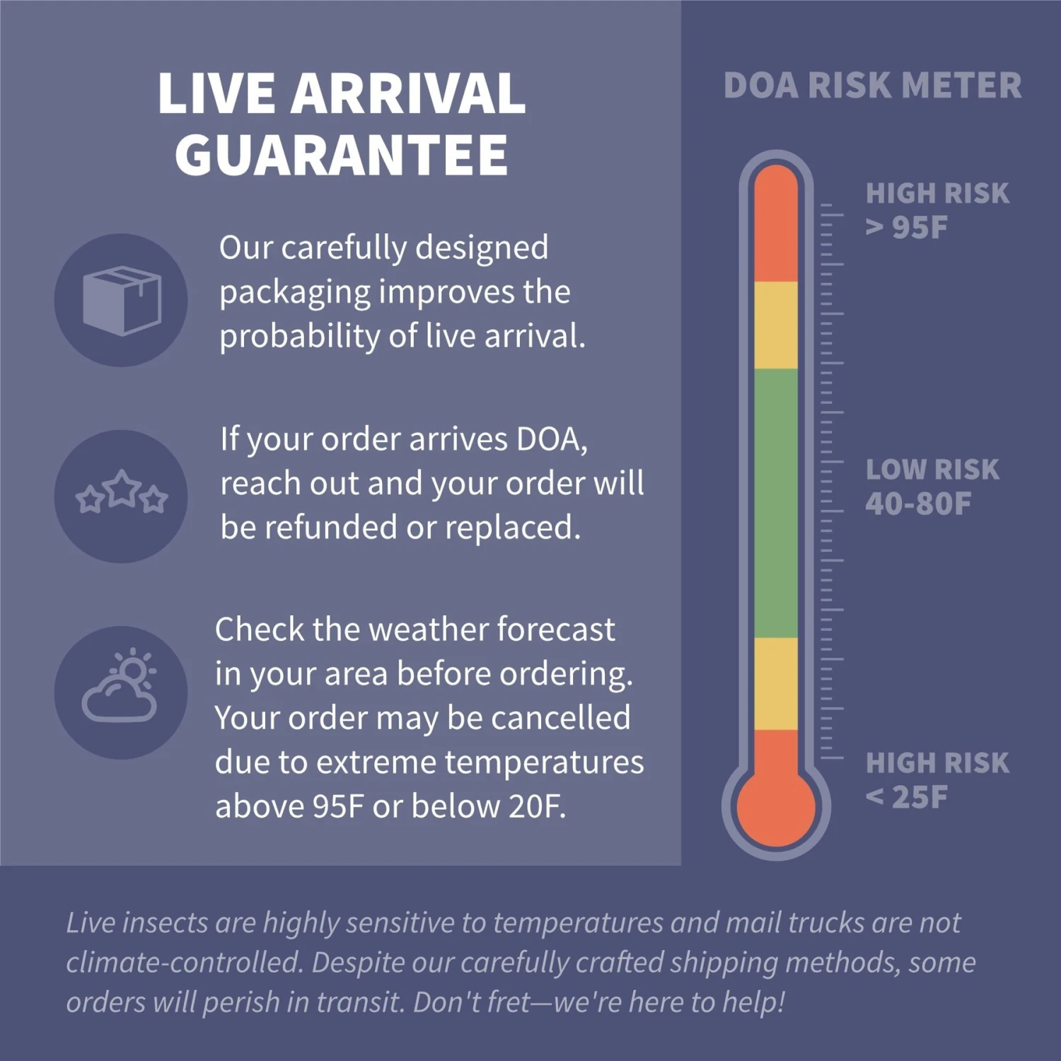 Ovipost Live Superworms Reptile Food, Large 5 Ovipost Live Superworms Reptile Food, Large - Image 3