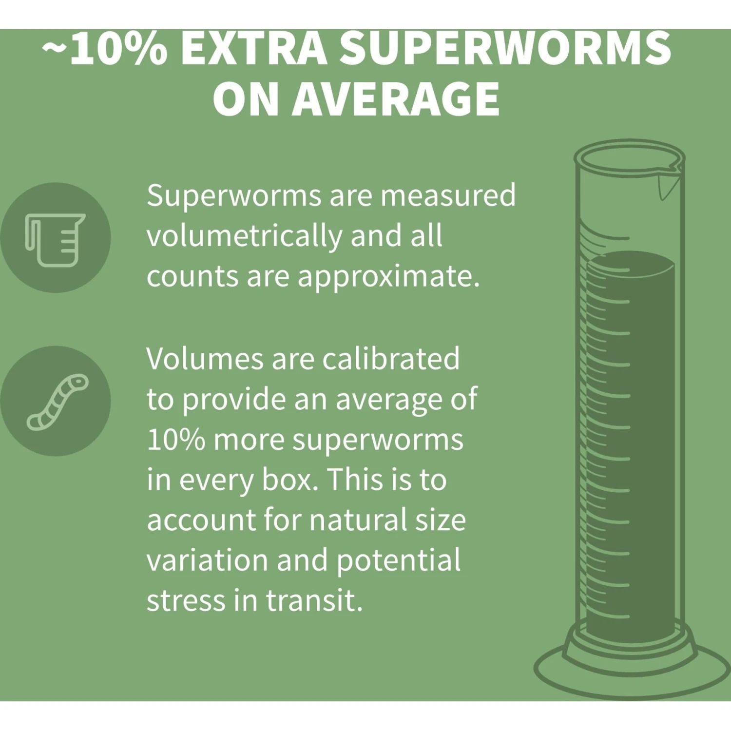 Ovipost Live Superworms Reptile Food, Large 7 Ovipost Live Superworms Reptile Food, Large - Image 5