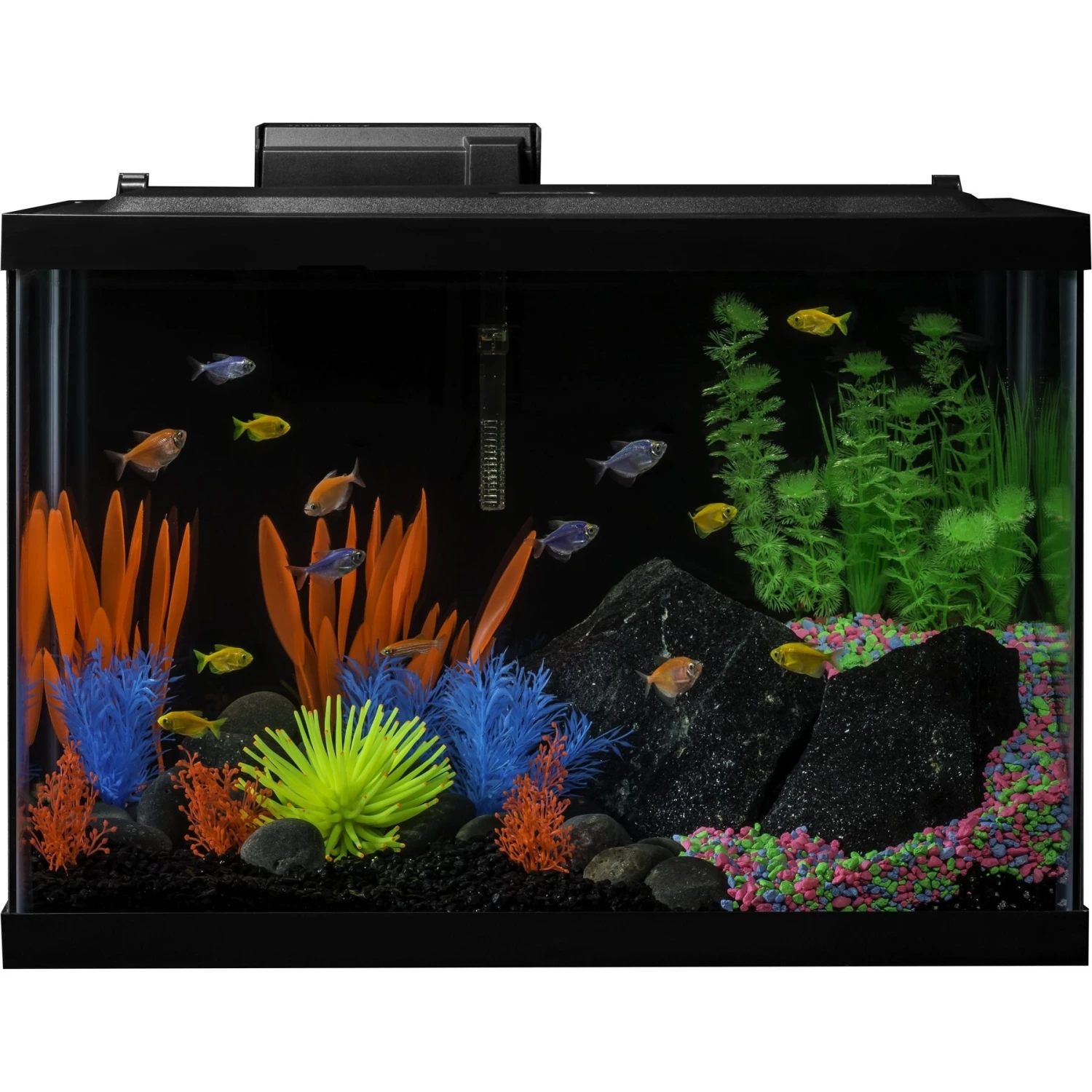 GloFish Decor Heater & Filter Aquarium Kit With LED Lights, 20-gal 3 GloFish Decor Heater & Filter Aquarium Kit With LED Lights, 20-gal