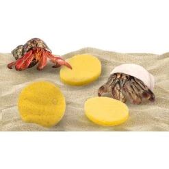 SunGrow Hermit Crab Tank Humidity Control Sponge, Yellow, 3 Count