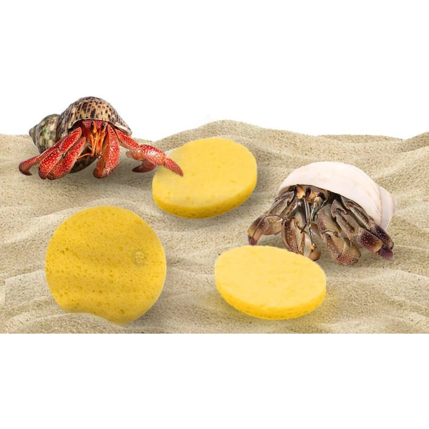 SunGrow Hermit Crab Tank Humidity Control Sponge, Yellow, 3 Count 3 SunGrow Hermit Crab Tank Humidity Control Sponge, Yellow, 3 Count