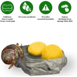 SunGrow Hermit Crab Tank Humidity Control Sponge, Yellow, 3 Count 11 SunGrow Hermit Crab Tank Humidity Control Sponge, Yellow, 3 Count -Pet Supplies Store 689254 PT2. AC SS1800 V1669178611