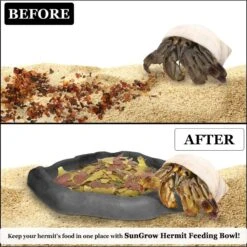 SunGrow Reptile Food & Water Dish Non-Skid Plastic Hermit Crab Bowl, Terrarium Decor Supplies, Charcoal 10 SunGrow Reptile Food & Water Dish Non-Skid Plastic Hermit Crab Bowl, Terrarium Decor Supplies, Charcoal -Pet Supplies Store 689302 PT2. AC SS1800 V1669179782