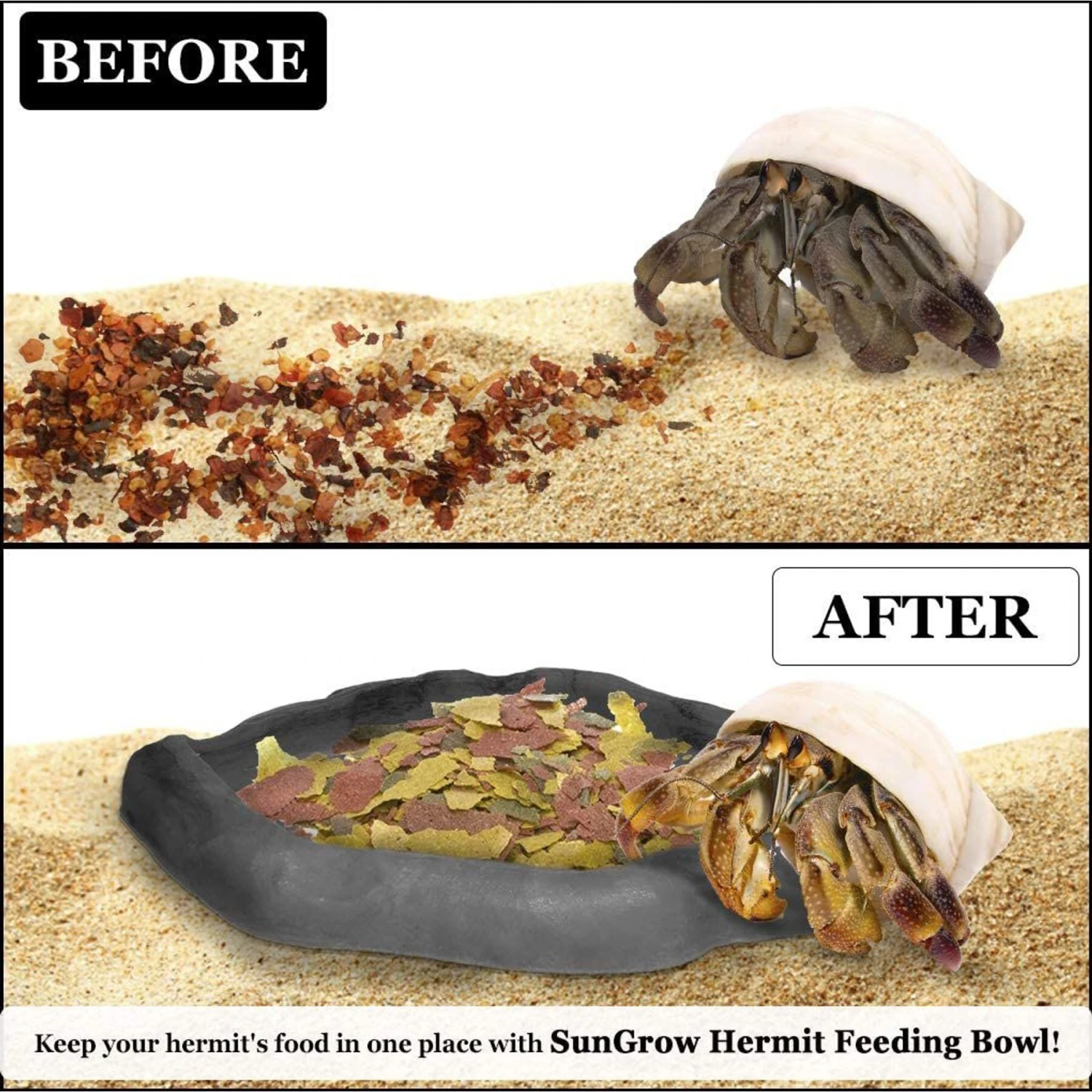 SunGrow Reptile Food & Water Dish Non-Skid Plastic Hermit Crab Bowl, Terrarium Decor Supplies, Charcoal 5 SunGrow Reptile Food & Water Dish Non-Skid Plastic Hermit Crab Bowl, Terrarium Decor Supplies, Charcoal - Image 3