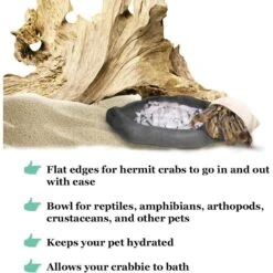 SunGrow Reptile Food & Water Dish Non-Skid Plastic Hermit Crab Bowl, Terrarium Decor Supplies, Charcoal 11 SunGrow Reptile Food & Water Dish Non-Skid Plastic Hermit Crab Bowl, Terrarium Decor Supplies, Charcoal -Pet Supplies Store 689302 PT3. AC SS1800 V1669178548