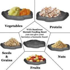 SunGrow Reptile Food & Water Dish Non-Skid Plastic Hermit Crab Bowl, Terrarium Decor Supplies, Charcoal 12 SunGrow Reptile Food & Water Dish Non-Skid Plastic Hermit Crab Bowl, Terrarium Decor Supplies, Charcoal -Pet Supplies Store 689302 PT4. AC SS1800 V1669178550