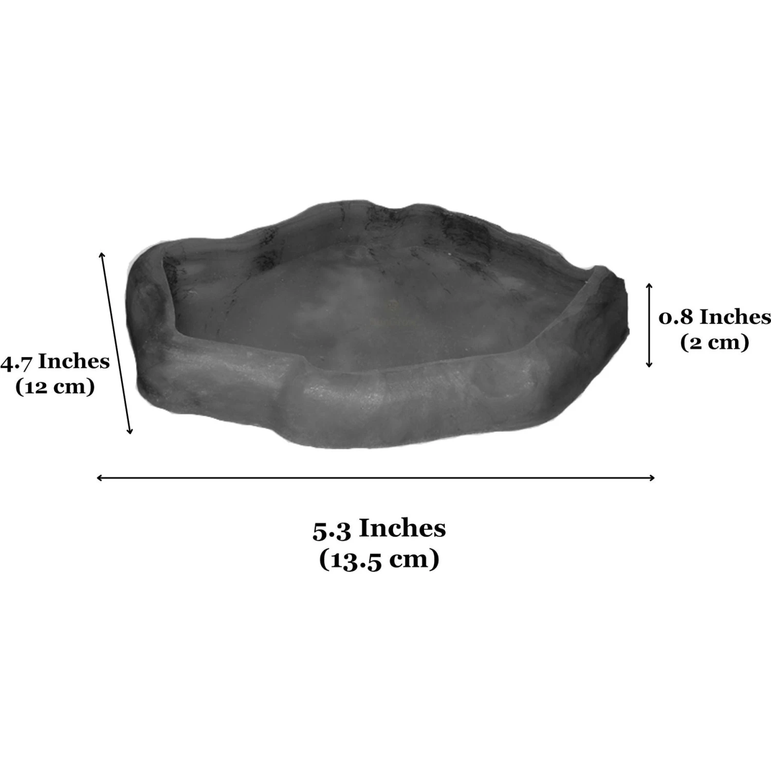 SunGrow Reptile Food & Water Dish Non-Skid Plastic Hermit Crab Bowl, Terrarium Decor Supplies, Charcoal 8 SunGrow Reptile Food & Water Dish Non-Skid Plastic Hermit Crab Bowl, Terrarium Decor Supplies, Charcoal - Image 6