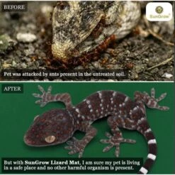 SunGrow Reptile Carpet Substrate & Floor Liner For Bearded Dragon & Leopard Gecko Tank, Green Mat Bedding -Pet Supplies Store 695446 PT3. AC SS1800 V1669179833