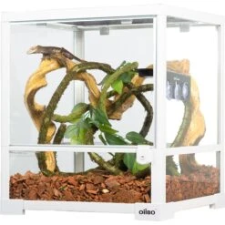 OiiBO Knock Down Single Door Glass Terrarium, White, 18-gal