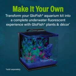 GloFish Glass Aquarium Kit, 10-gal -Pet Supplies Store 714454 PT2. AC SS1800 V1670619627