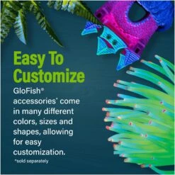 GloFish Glass Aquarium Kit, 10-gal -Pet Supplies Store 714454 PT3. AC SS1800 V1670619283