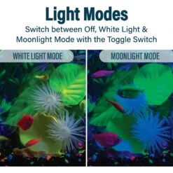 GloFish Glass Aquarium Kit, 10-gal -Pet Supplies Store 714454 PT4. AC SS1800 V1670616660