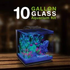 GloFish Glass Aquarium Kit, 10-gal -Pet Supplies Store 714454 PT6. AC SS1800 V1670616662