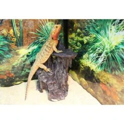 Penn-Plax Reptology Shale Scape Cavernous Cliff Ornament -Pet Supplies Store 721094 PT6. AC SS1800 V1676054076