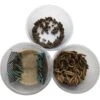 ABDragons Dubia Small Roach Hornworm & Superworm Live Feeder Combo Reptile Food