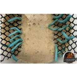 ABDragons Dubia Large Roach Hornworm & Superworm Live Feeder Combo Reptile Food 13 ABDragons Dubia Large Roach Hornworm & Superworm Live Feeder Combo Reptile Food -Pet Supplies Store 726710 PT4. AC SS1800 V1669911260