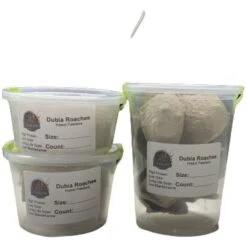 ABDragons Dubia Large Roach Hornworm & Superworm Live Feeder Combo Reptile Food 15 ABDragons Dubia Large Roach Hornworm & Superworm Live Feeder Combo Reptile Food -Pet Supplies Store 726710 PT6. AC SS1800 V1669911264