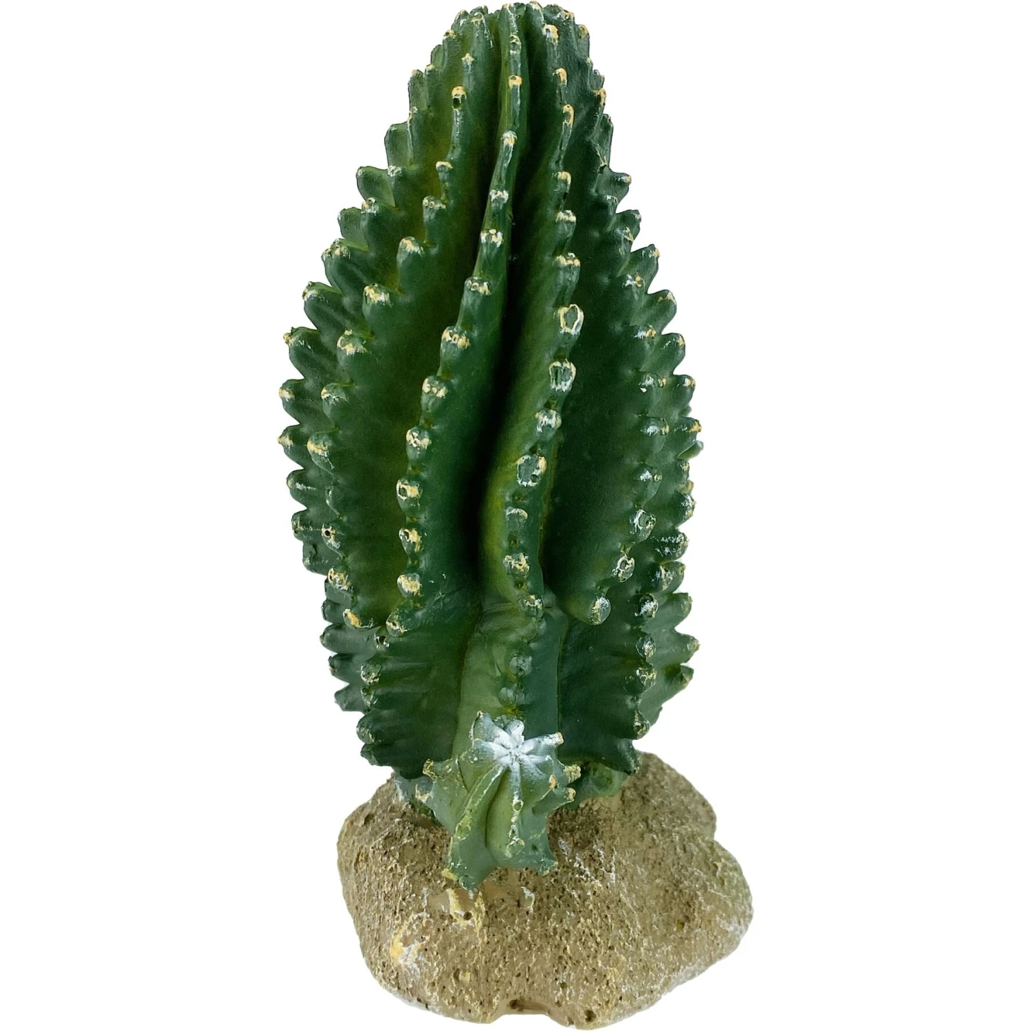 Komodo Cactus Columnar Reptile Ornament, Green 6 Komodo Cactus Columnar Reptile Ornament, Green - Image 4