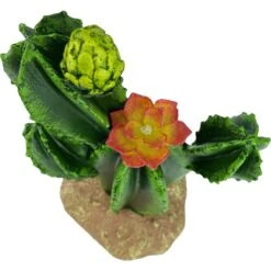 Komodo Cactus Flower Reptile Ornament, Green -Pet Supplies Store 730231 PT4. AC SS1800 V1676669218