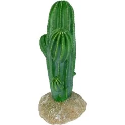 Komodo Cactus Saguaro Reptile Ornament, Green -Pet Supplies Store 730255 PT2. AC SS1800 V1676751111