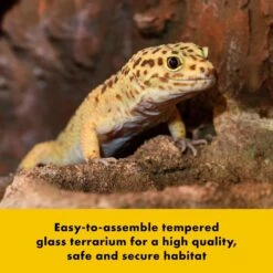 Zilla QuickBuild Terrarium, Black -Pet Supplies Store 733678 PT3. AC SS1800 V1692208786