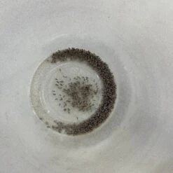 Josh's Frogs Dart Frog Feeder Bundle -Pet Supplies Store 748838 PT3. AC SS1800 V1672163413