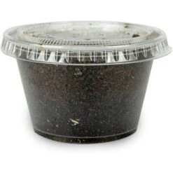 Josh's Frogs Adult Tree Frog Feeder Bundle, Large -Pet Supplies Store 748886 PT4. AC SS1800 V1672163415