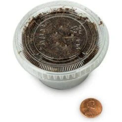 Josh's Frogs Adult Tree Frog Feeder Bundle, Large -Pet Supplies Store 748886 PT6. AC SS1800 V1672164071