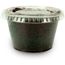 Josh's Frogs Juvenile Fat Tail Gecko Feeder Bundle 16 Josh's Frogs Juvenile Fat Tail Gecko Feeder Bundle -Pet Supplies Store 748966 PT5. AC SS1800 V1672163959