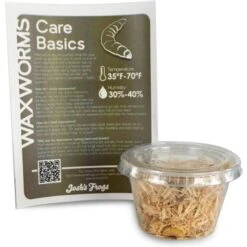 Josh's Frogs Juvenile Fat Tail Gecko Feeder Bundle 18 Josh's Frogs Juvenile Fat Tail Gecko Feeder Bundle -Pet Supplies Store 748966 PT7. AC SS1800 V1672164011