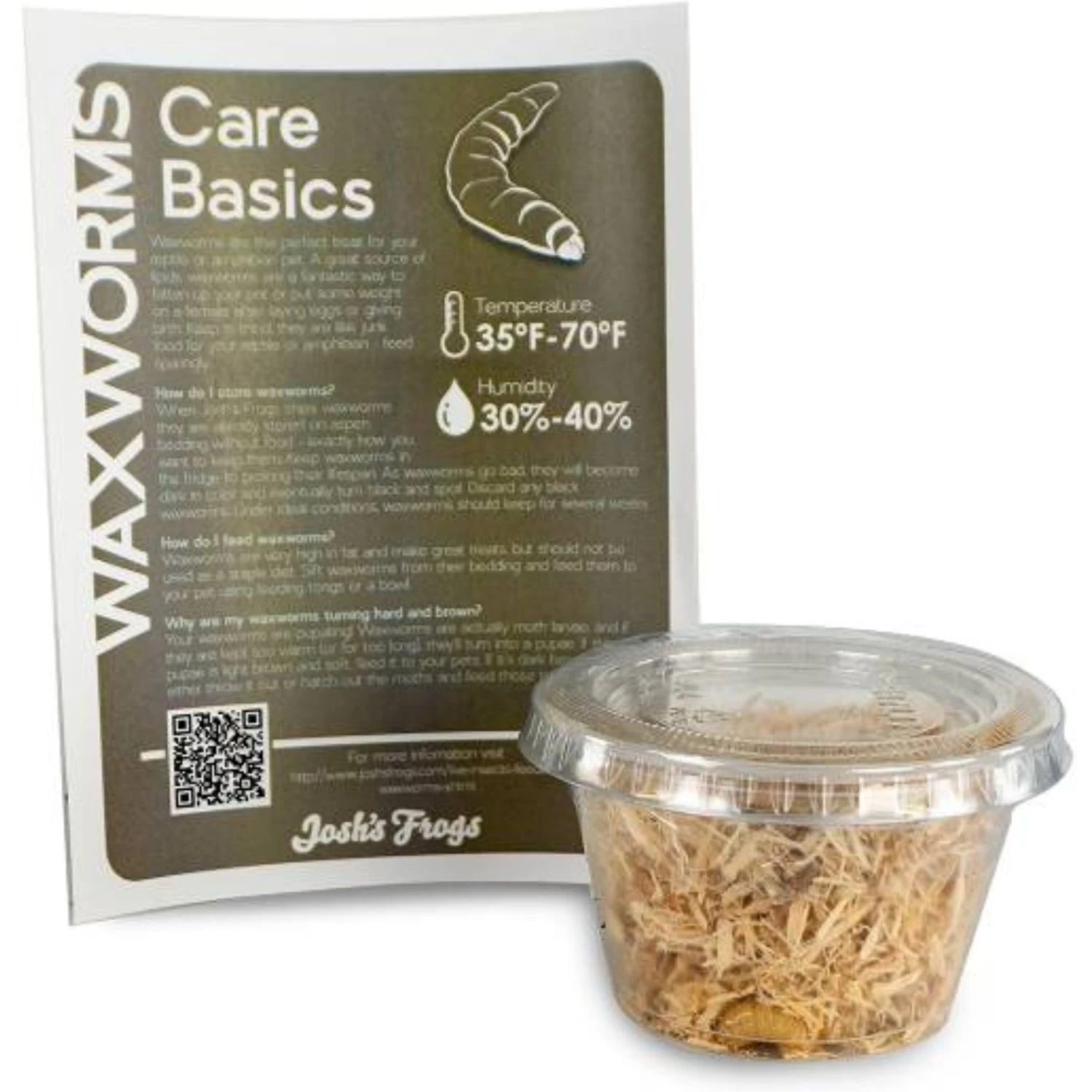 Josh's Frogs Juvenile Fat Tail Gecko Feeder Bundle 10 Josh's Frogs Juvenile Fat Tail Gecko Feeder Bundle - Image 8