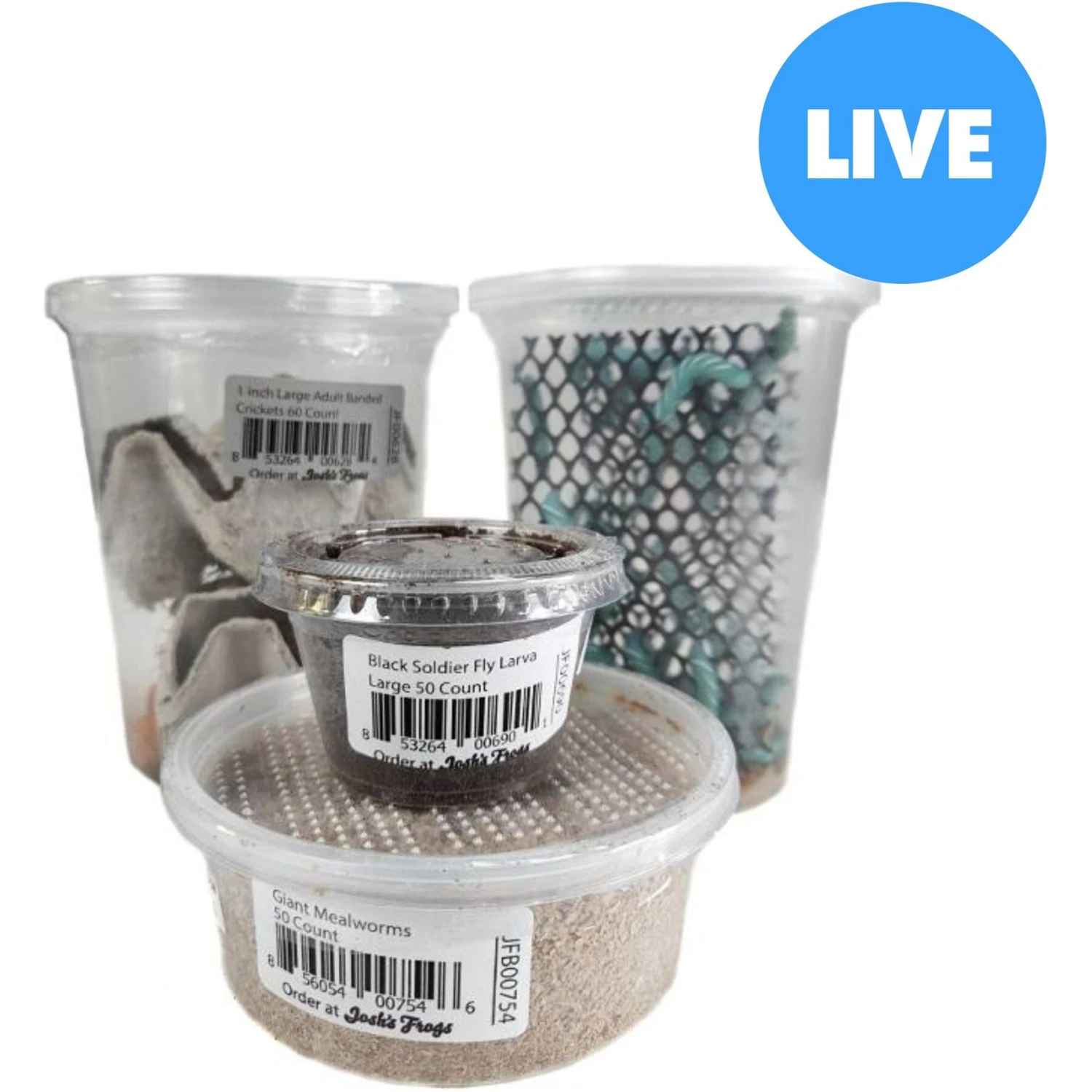 Josh's Frogs Adult Fat Tail Gecko Feeder Bundle 3 Josh's Frogs Adult Fat Tail Gecko Feeder Bundle