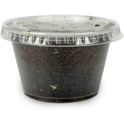 Josh's Frogs Adult Fat Tail Gecko Feeder Bundle 17 Josh's Frogs Adult Fat Tail Gecko Feeder Bundle -Pet Supplies Store 748982 PT6. AC SS1800 V1672164011