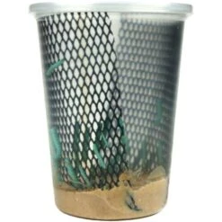 Josh's Frogs Adult Fat Tail Gecko Feeder Bundle 19 Josh's Frogs Adult Fat Tail Gecko Feeder Bundle -Pet Supplies Store 748982 PT8. AC SS1800 V1672170084